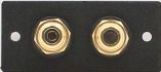 Speaker Plate with 2 RCA Bulkheads - Gold Isolated