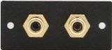 Speaker Plate with 2 RCA Bulkheads - Gold