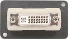 DVI Adapter Plate - Female Rear