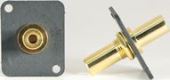 3.5mm Gold Bulkhead XLR Mount