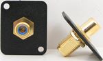 RCA to F Bulkhead - Gold - Blue Insulator - D Series Mount