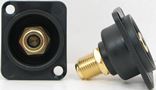 RCA to F Bulkhead - Gold - Black Insulator - Isolated - Recessed D Series Mount