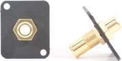 RCA Bulkhead - Gold - White Insulator - D Series Mount