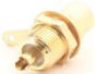 RCA Solder - Gold - White Insulator - 3/8 Round Mount - Rear View