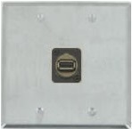1 Port Double Gang USB 2.0 Face Plate