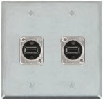 2 Port Double Gang USB 2.0 Face Plate