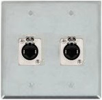 2 Port Double Gang Cat 5e Face Plate