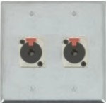 2 Port Double Gang 1/4 TRS Face Plate