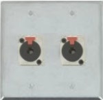 2 Port Double Gang 1/4 TRS Face Plate