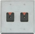 2 Port Double Gang 1/4 TRS Face Plate