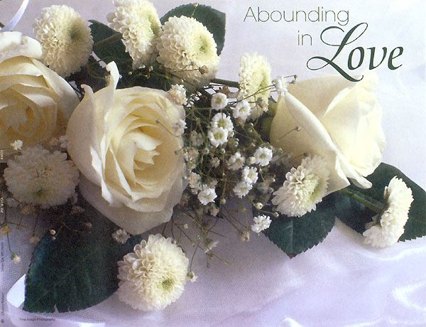 Abounding In Love DVD Insert 001