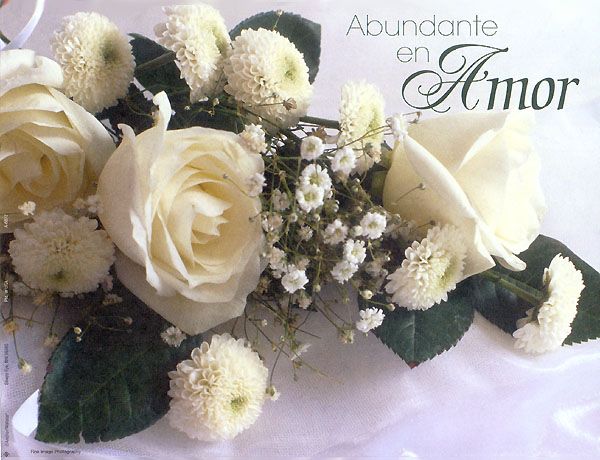 Abundante en Amor DVD Insert 002