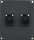 2 Port Cat5e Module Plate